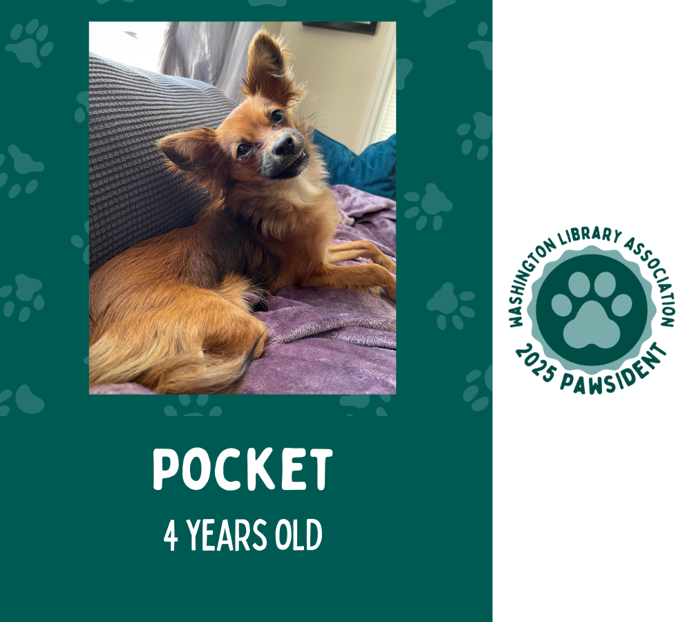 Picture of Pocket the dog